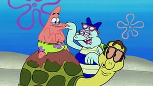 Shell Games