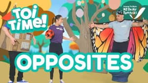 Opposites