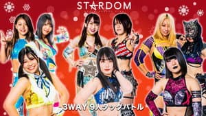 Stardom Year-End Tour 2022 ~ Day 4