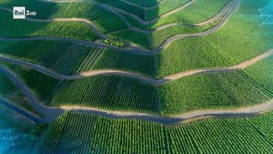 The New Agriculture