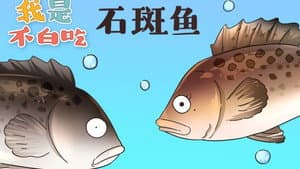 Episode 51