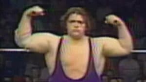 All Star Wrestling - May 16, 1981