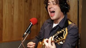Wombats
