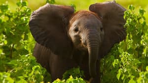 Kenya and Minnesota, USA Update