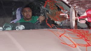 License & Registration?