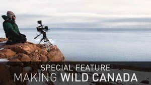 Making Wild Canada