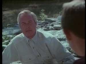 Stranger in Possum Meadows