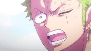 Zoro's Fury! The Truth About the Smile!