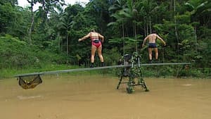 Celebrity Seesaw