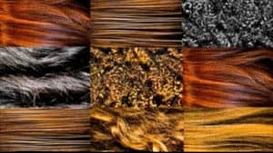 Salon of Beauty and Scar Printing