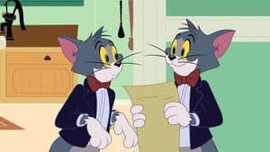 Mega-Tom