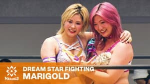 Marigold Shining Attack 2026 ~ Day 1