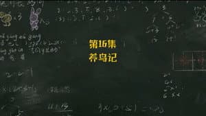 Episode 16