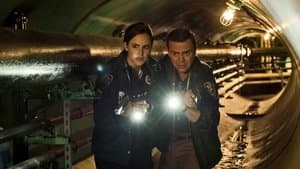 The Fugitive (1)