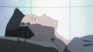 Affection