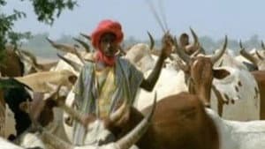 Africa: Love in the Sahel