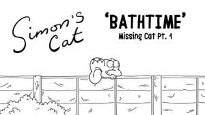 Missing Cat (1): Bathtime