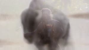 Running Ghost