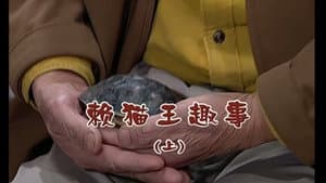 Episode 1894