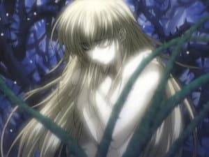The White Petals