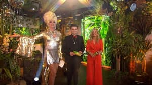 Der Countdown zum Finale (Staffel 17)