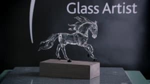Glass Sculptures, Racing Pulley Systems, Inductors, Medicine Balls
