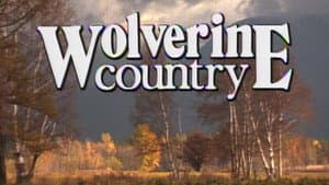 Wolverine Country