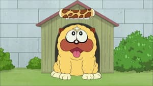 Funny pet video