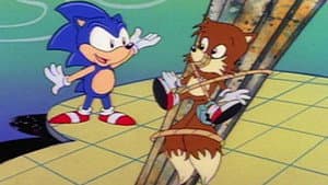 Trail of the Missing Tails