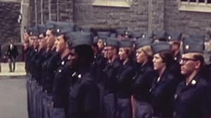 Women in War