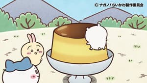 Episode 305