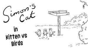 Kitten vs Birds