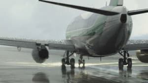 Frozen Wings