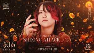 Marigold Shining Attack 2026 ~ Day 7