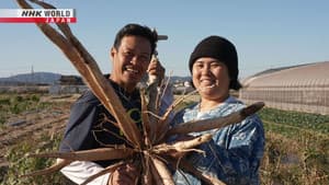 Breaking Barriers by Farming