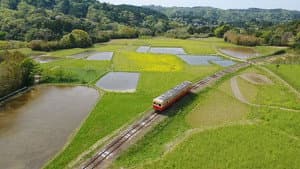 The Living Museum of Chiba