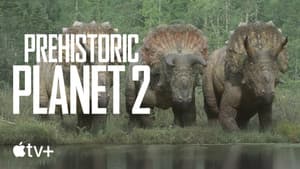 Uncovered: Why Did Triceratops Have a Frill?