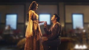 Aladdin Proposes