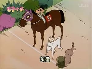 Episode 80