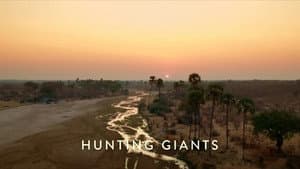 Hunting Giants