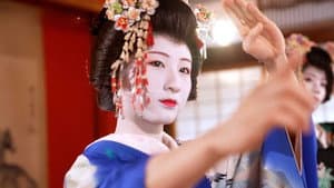 Modern Maiko Diaries