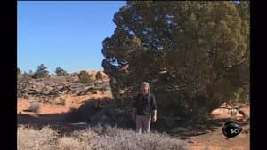 Utah Canyonlands