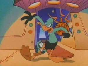 The Return to the Acme Acres Zone
