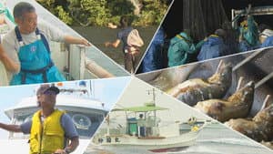 Sustainable Fishing