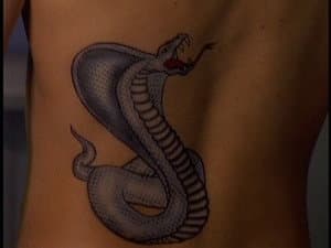 Curse of the Cobra