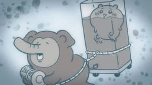 Episode 353