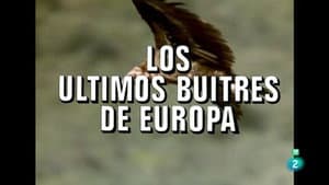 The Last Vultures of Europe