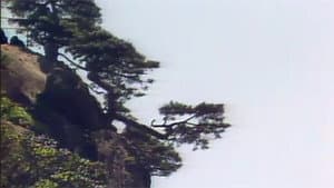 Episode 15