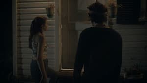 The Night