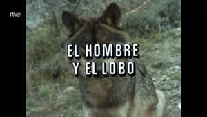 Man and the Wolf